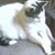 Anthony Riggi's profile image