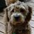 Melanie Smith Andrews's profile image