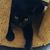 Linda Curtiss Hill's profile image