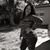 Mildreina Bray's profile image