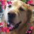 Sharon Hadley's profile image