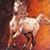 Arya Winterborn's profile image