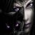 Judy L. Lyons's profile image