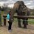 Alana Lea Wheeler's profile image