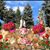 Leticia Gonzalez's profile image