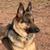 Kathy Eichman's profile image