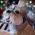 Debbie Drake's profile image