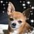 Sharon LaVoie's profile image