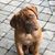 Jackie Lanning McMillion's profile image