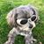 MarieNoelle Sayan's profile image