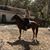 Elizabeth Allyann Kircher's profile image