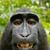 Silvia Velarde's profile image