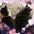 Tara Marie Johnson's profile image
