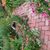 Susan Robinson's profile image