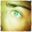Priscilla Tilly's profile image