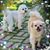 Nancy Creelman Turney's profile image