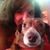 Joanie Simpson's profile image