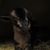 Rio Nido San Clementes's profile image
