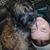 Heather Strahin's profile image