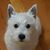Anne Clark's profile image