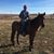 Di Olson's profile image