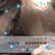 Heather Finney Rodriguez's profile image