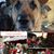 Vicky Budnack's profile image