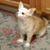 Cathy Williams's profile image
