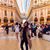 Stephy Gonzalez's profile image
