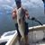 Chris L Farlow's profile image