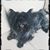 Lynn Robinson Cribbs's profile image