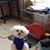 Margo Sims's profile image