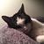 Clarice Ross's profile image