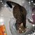 Margo D. Watkins's profile image