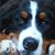 Tracy Mucenski-Todd's profile image
