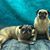 Donna Regester's profile image