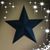 Roxanne Carlson Diehl's profile image