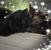 Kathy Stoudt's profile image