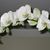 Martha Bargas's profile image