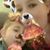 Mammone Carissa's profile image