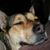 Tina Marie Degati's profile image