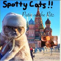 Matt Osmoe's profile image