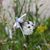 Jennifer Isenhart's profile image