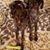 David E Watts's profile image
