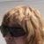 Shawna Aucoin's profile image