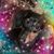 Doreen Ward's profile image