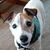 Wendy Hartman's profile image