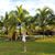 Patricia Salazar Bayer's profile image