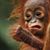 Theresa Williams's profile image