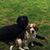 Luis Francisco Gutierrez's profile image